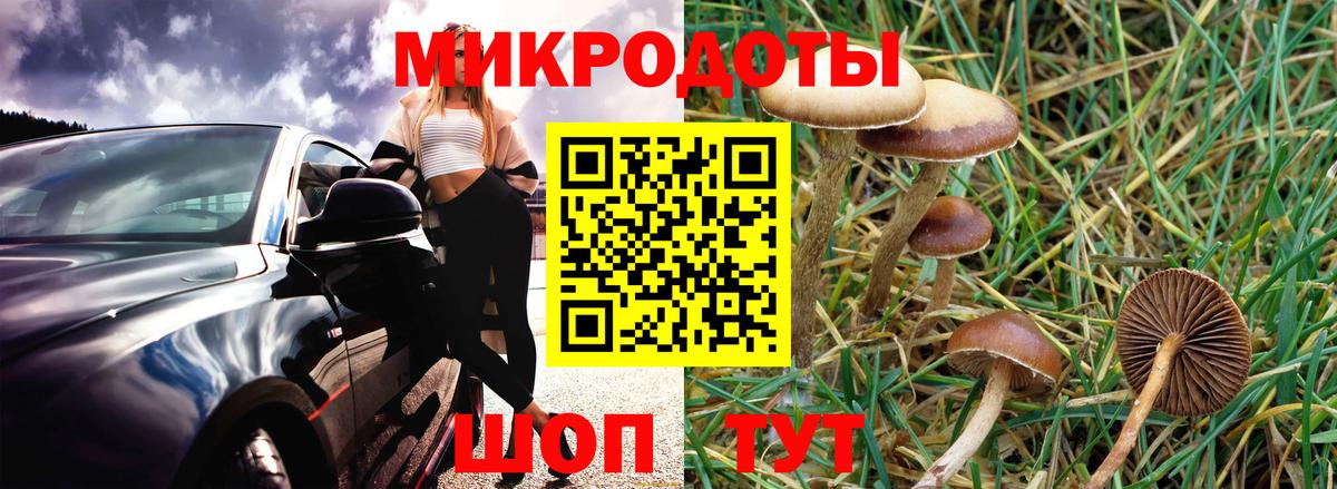 Глазов  Псилоцибиновые грибы мухоморы  Вход с VPN 